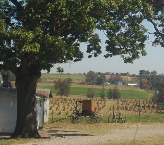 Amish Farmstead, Volant, Pennsylvania